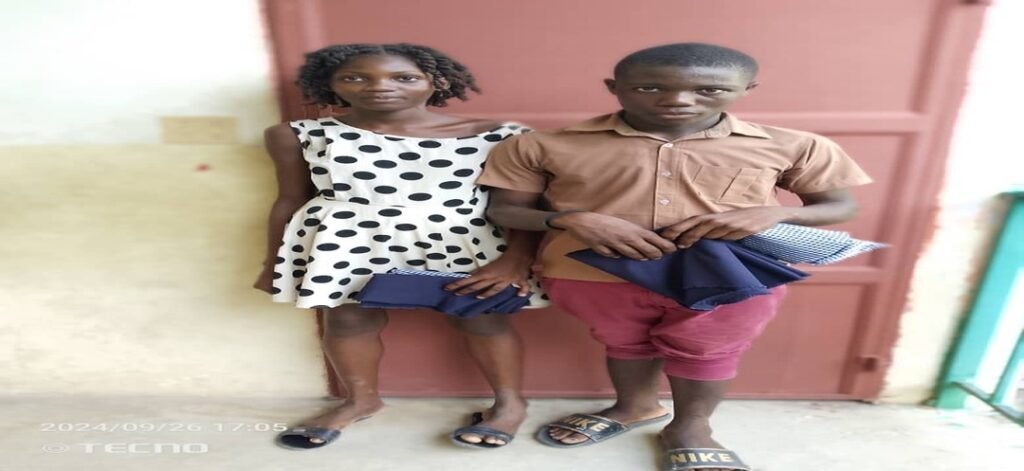 246e0141-b2dc-4010-bed3-3a730a079304