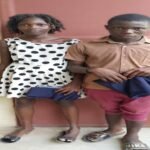 246e0141-b2dc-4010-bed3-3a730a079304